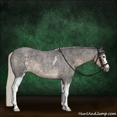 Horse Color:White Spotted Silver Smoky Blue Roan 