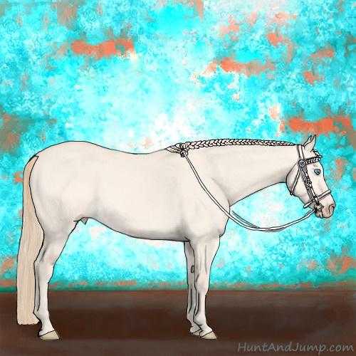 Horse Color:Perlino Dun 