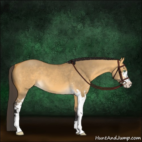 Horse Color:Buckskin Dun Sabino 