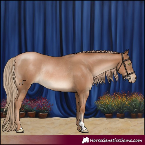 Horse Color:Liver Chestnut Pearl Rabicano 