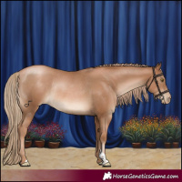 Horse Color:Liver Chestnut Pearl Rabicano