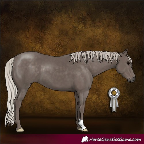 Horse Color:Silver Black 