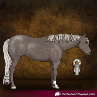 Horse Color:Silver Black