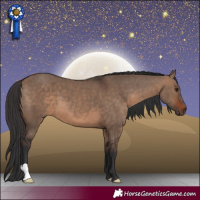 Horse Color:Brown Dun 
