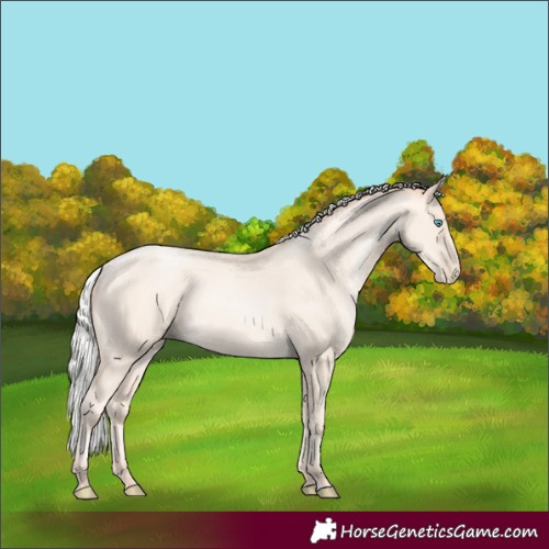 Horse Color:Silver Amber Cream Champagne Pearl 