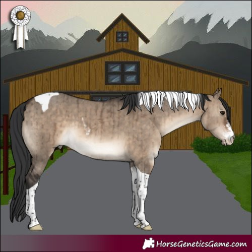 Horse Color:Brown Dun Sabino Tobiano Brindle 
