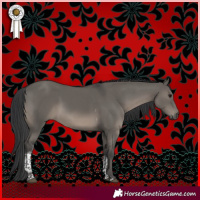 Horse Color:Grullo Tobiano