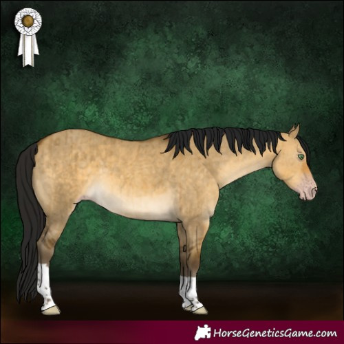 Horse Color:Gray Sable Cream Champagne Dun Tobiano Brindle 