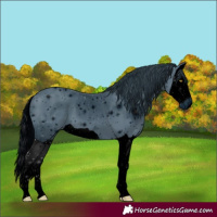 Horse Color:ERROR: UNKNOWN ANOMALY