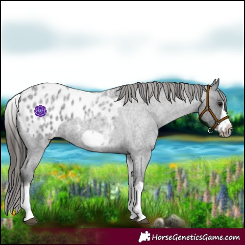 Horse Color:White Spotted Blue Roan Splash Frame Blanket