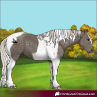 Horse Color:Silver Smoky Black Tobiano 