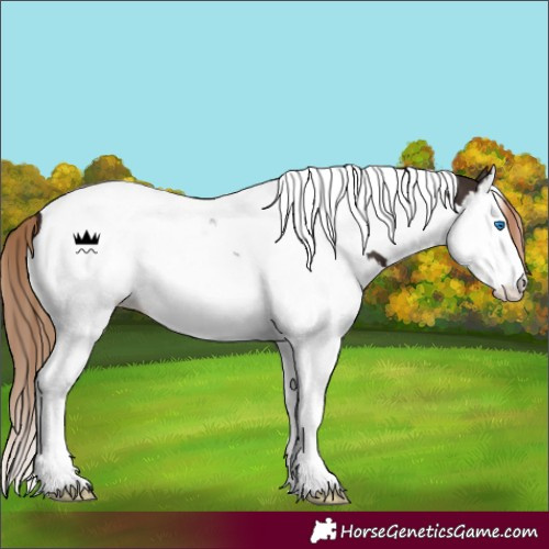 Horse Color:Liver Chestnut Splash Tobiano 