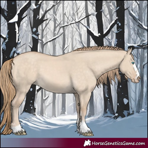 Horse Color:Perlino Dun 