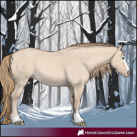 Horse Color:Perlino Dun 