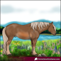 Horse Color:Chocolate Palomino 