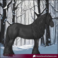 Horse Color:Black Rabicano 
