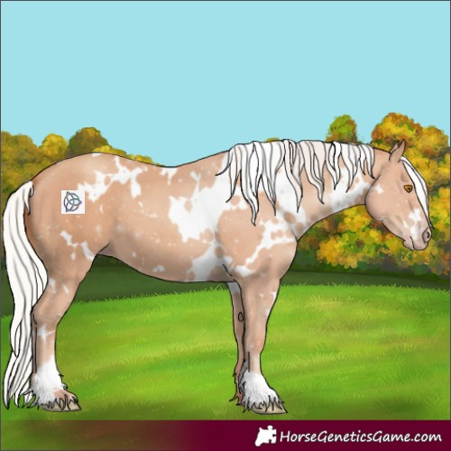 Horse Color:White Spotted Silver Classic Champagne 
