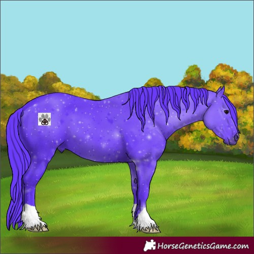 Horse Color:Watercolor Black 