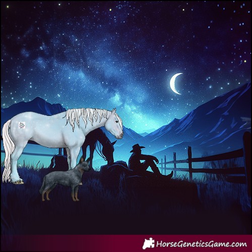 Horse Color:Watercolor Silver Bay 