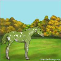 Horse Color:Watercolor White Spotted Liver Chestnut 