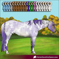 Horse Color:Watercolor White Spotted Bay Roan Rabicano 