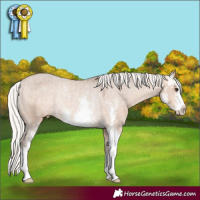 Horse Color:Silver Brown Dun Sabino Appaloosa Rabicano 
