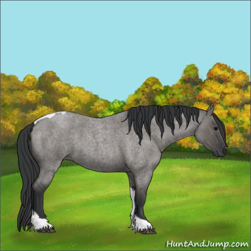 Horse Color:Grullo Roan Tobiano 