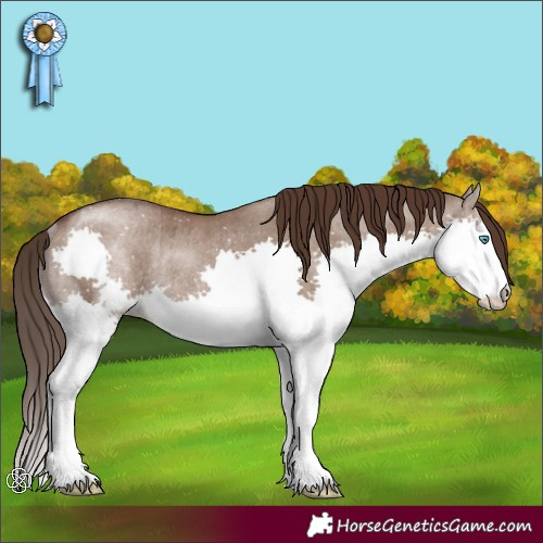 Horse Color:Liver Red Dun Splash Rabicano Brindle 