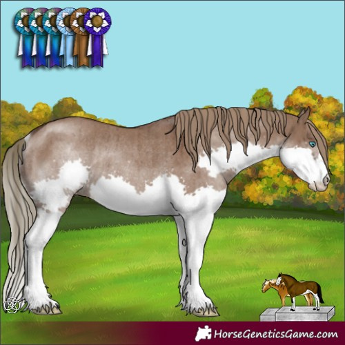 Horse Color:Liver Red Dun Splash Rabicano Brindle 