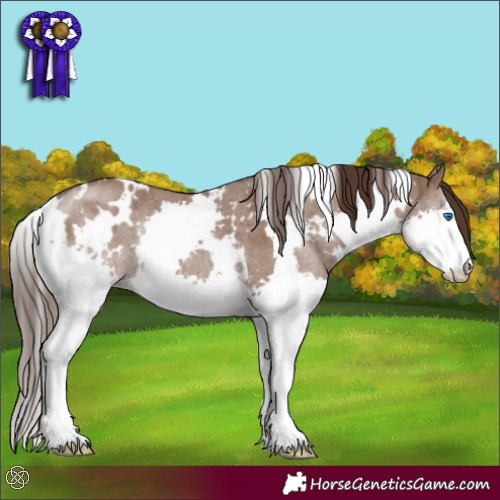 Horse Color:White Spotted Liver Red Dun Splash Rabicano Brindle