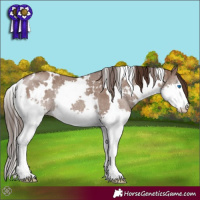 Horse Color:White Spotted Liver Red Dun Splash Rabicano Brindle 