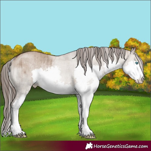 Horse Color:Liver Red Dun Splash Rabicano Brindle 