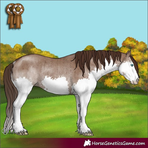 Horse Color:Liver Red Dun Splash Rabicano Brindle 