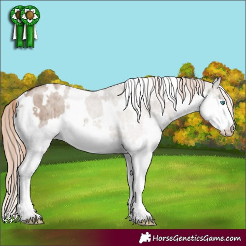 Horse Color:White Spotted Liver Red Dun Splash Rabicano Brindle 