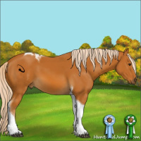 Horse Color:Palomino Tobiano