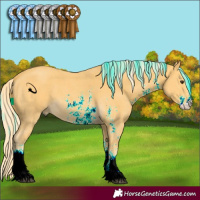 Horse Color:Palomino Sabino