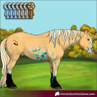 Horse Color:Palomino Sabino 