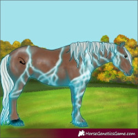 Horse Color:Thunderstruck Silver Black