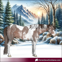 Horse Color:Liver Chestnut Sabino Tobiano Rabicano