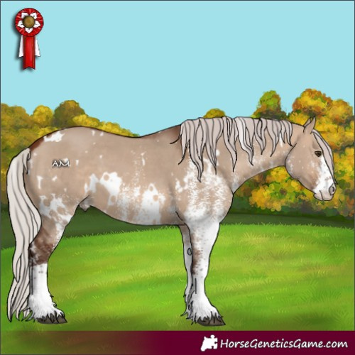 Horse Color:White Spotted Silver Brown Dun 