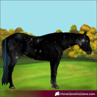 Horse Color:ERROR: UNKNOWN ANOMALY