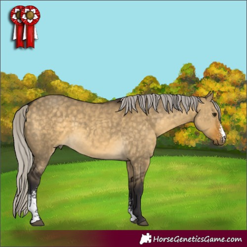 Horse Color:Silver Buckskin Dun Sabino 