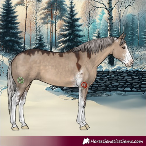 Horse Color:Silver Brown Dun Sabino 