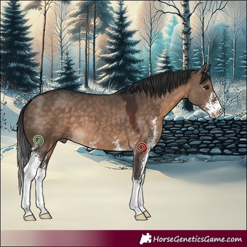 Horse Color:Brown Dun Sabino 
