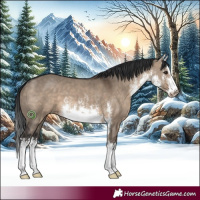 Horse Color:White Spotted Brown Dun