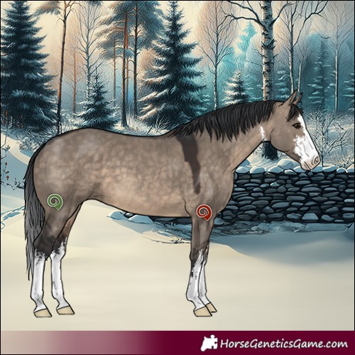 Horse Color:White Spotted Brown Dun 