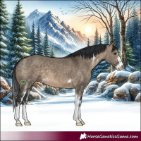 Horse Color:Brown Dun Sabino 
