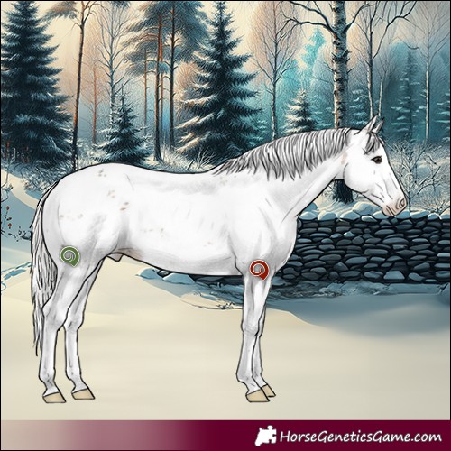 Horse Color:Silver Brown Dun Sabino 