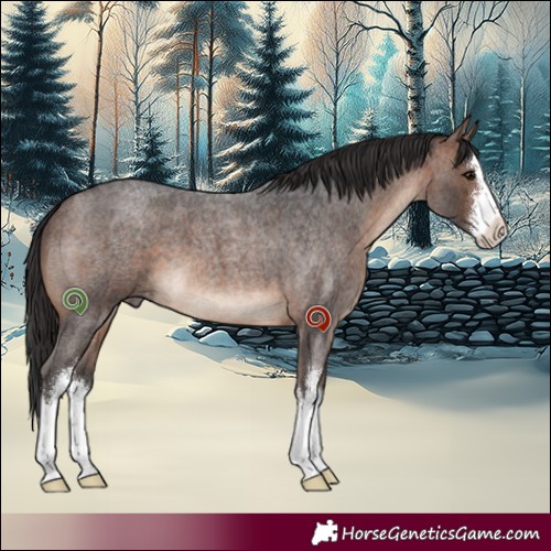 Horse Color:White Spotted Brown Roan 