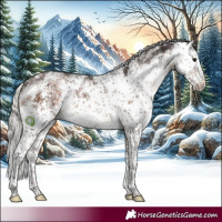 Horse Color:White Spotted Silver Brown Sabino 